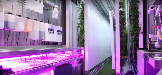 SRG Inside Container 3.PNG