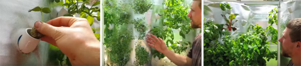 Ben - showing process - small.png