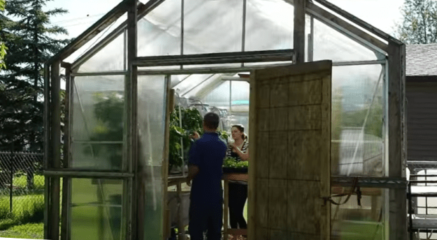 Stafeldts in Greenhouse.png