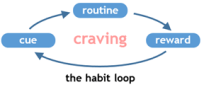 habit loop 3 - small.png
