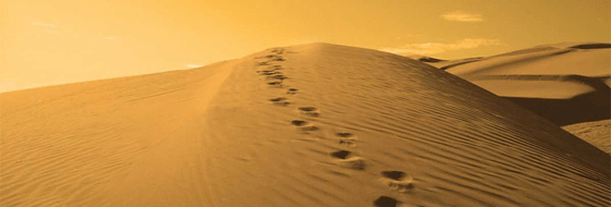 journey - Title Image