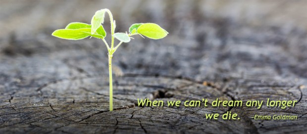 hope plant (5 inch).jpg