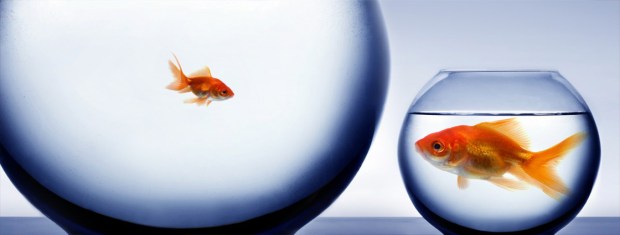 Small and big_HORIZONTAL_shutterstock copy