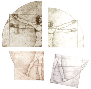 SHE04 vetruvian segments - SMALL