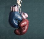 Election Day 2014 - Republicans and Democrats in the campaign